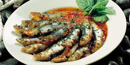 Delicious marinated sardines served with tomato sauce and fresh basil leaves on a white plate.