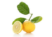 Bergamot