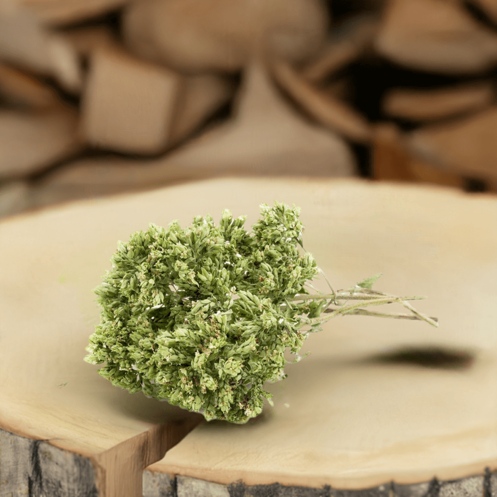 Origano a mazzetto raccolto selvatico in Aspromonte su un tavolo di legno.
