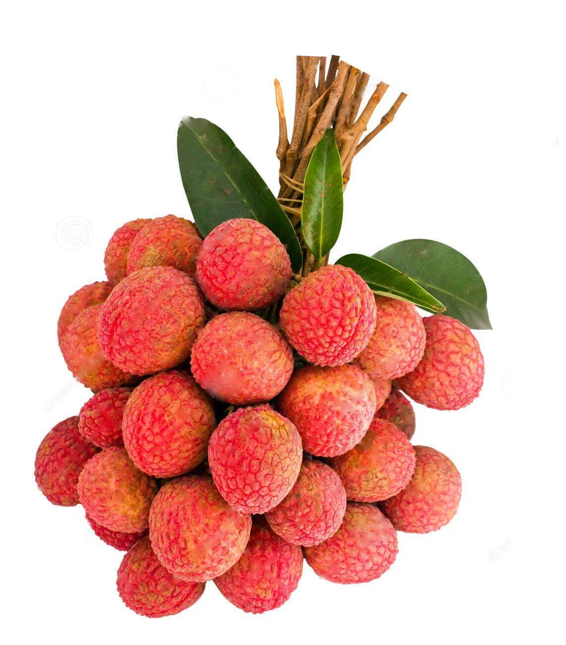 Bunch of ripe lychee fruits with green leaves, ideal for fresh fruit salads and cocktails.