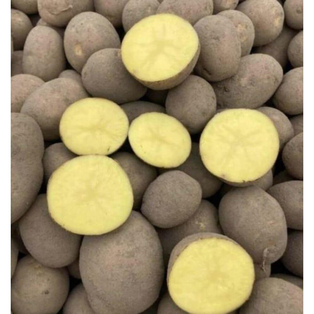 Patate d' Aspromonte in diverse forme e colori, mostrando la buccia gialla e la polpa gialla intensa.