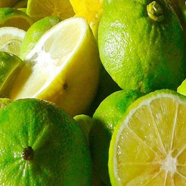 Bergamotto fresco l'originale di Reggio Calabria 1 Kg. - frutta e verdura di stagione - horecahub.myshopify.com
