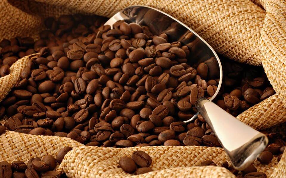 Zena Caffè Touba - labottega - horecahub.myshopify.com