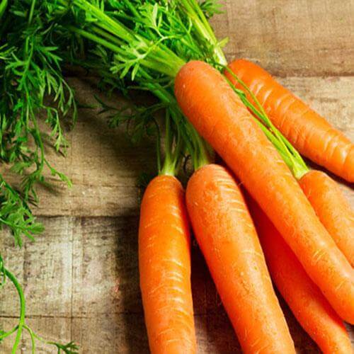 Carote Fresche 500 gr. - frutta e verdura di stagione - horecahub.myshopify.com