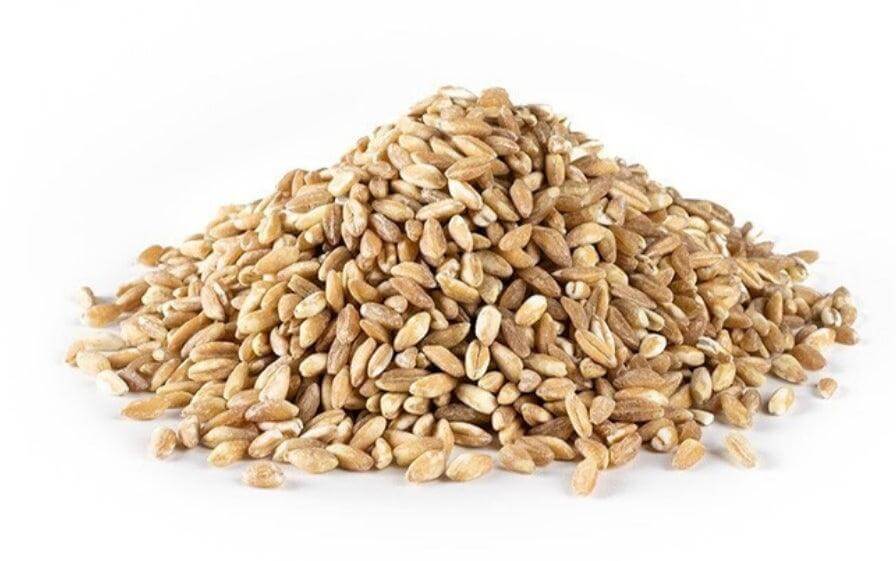 Farro di Calabria grain pile, rich in nutrients and ideal for soups and summer salads.