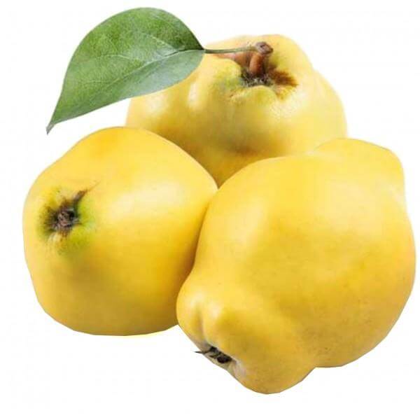 Mele Cotogne di Calabria - frutta e verdura di stagione - horecahub.myshopify.com