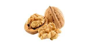 Noci di Calabria - frutta e verdura di stagione - horecahub.myshopify.com