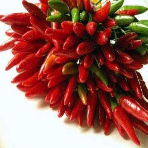 Peperoncino calabrese a Mazzetto - frutta e verdura di stagione - horecahub.myshopify.com