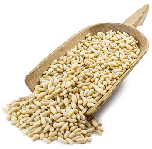 Pinoli Sbucciati Italiani 100 gr. - frutta e verdura di stagione - horecahub.myshopify.com