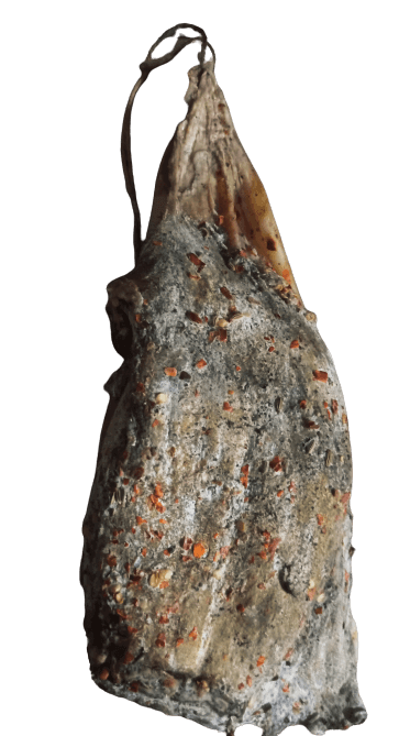 Prosciutto Reale del Brigante 1 kg. - Salumi - horecahub.myshopify.com