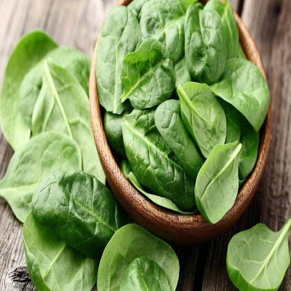 Spinaci - - horecahub.myshopify.com