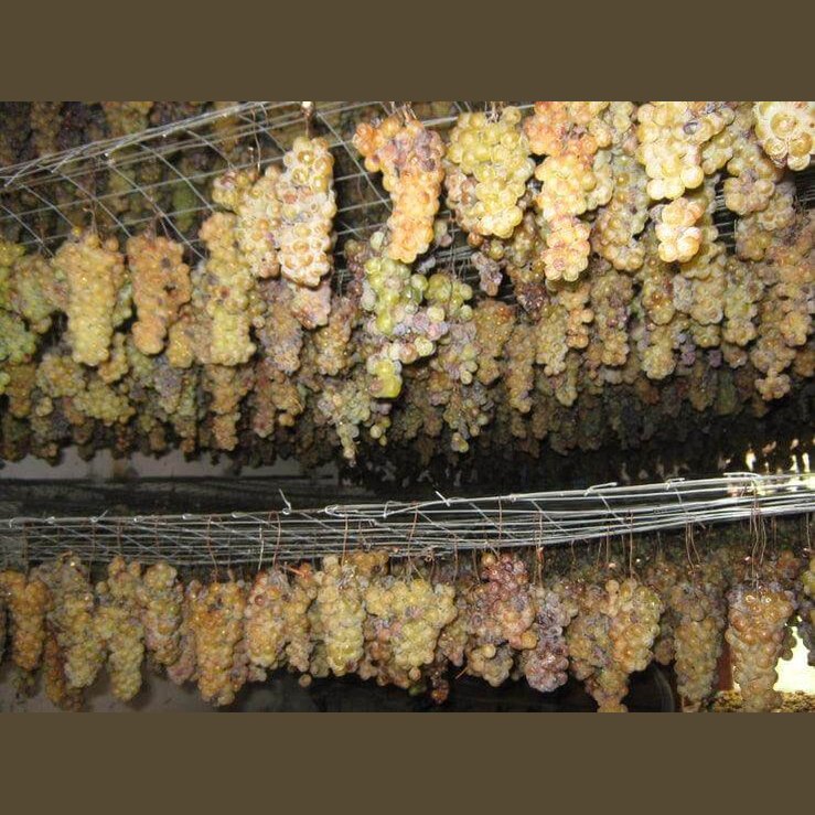 Vino Passito - Moscato Passito di Saracena - Presidio Slow Food, bottiglia da 0,375 l - Vini e liquori - horecahub.myshopify.com