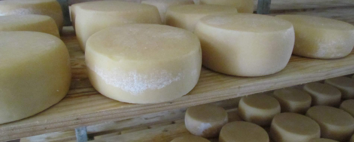 Pecorino del Monte Poro - DOP - Formaggeria - horecahub.myshopify.com