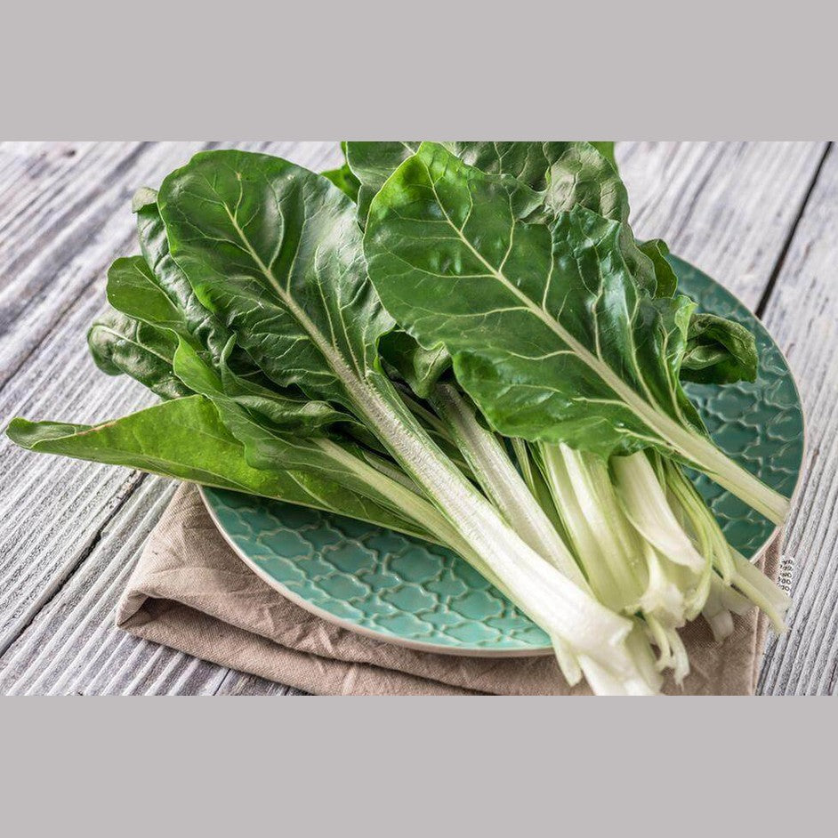 Bieta di Calabria - frutta e verdura di stagione - horecahub.myshopify.com