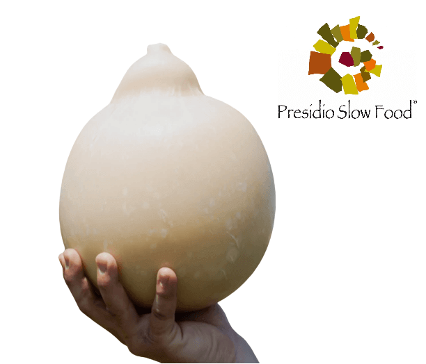 Caciocavallo Slow Food Calabria - Az. Agricola Tre Pizzi Ciminà - Formaggeria - horecahub.myshopify.com