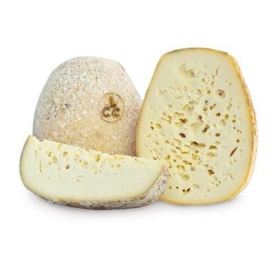 Caciocchiato Semistagionato  PAT - Formaggeria - horecahub.myshopify.com