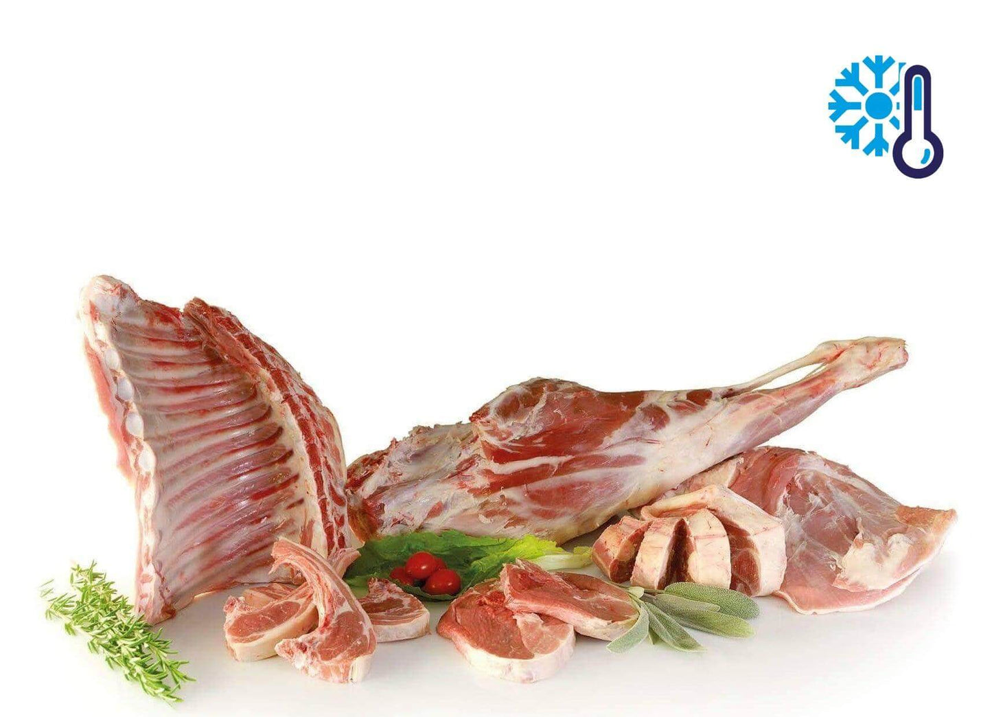 Capretto Semibrado Calabrese In Quarti 12 kg. - Carni fresche Calabresi - horecahub.myshopify.com