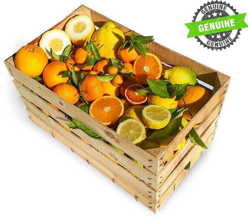 Cassetta Mix di Agrumi Freschi di Stagione 5 kg - 10 kg - 15 kg - frutta e verdura di stagione - horecahub.myshopify.com