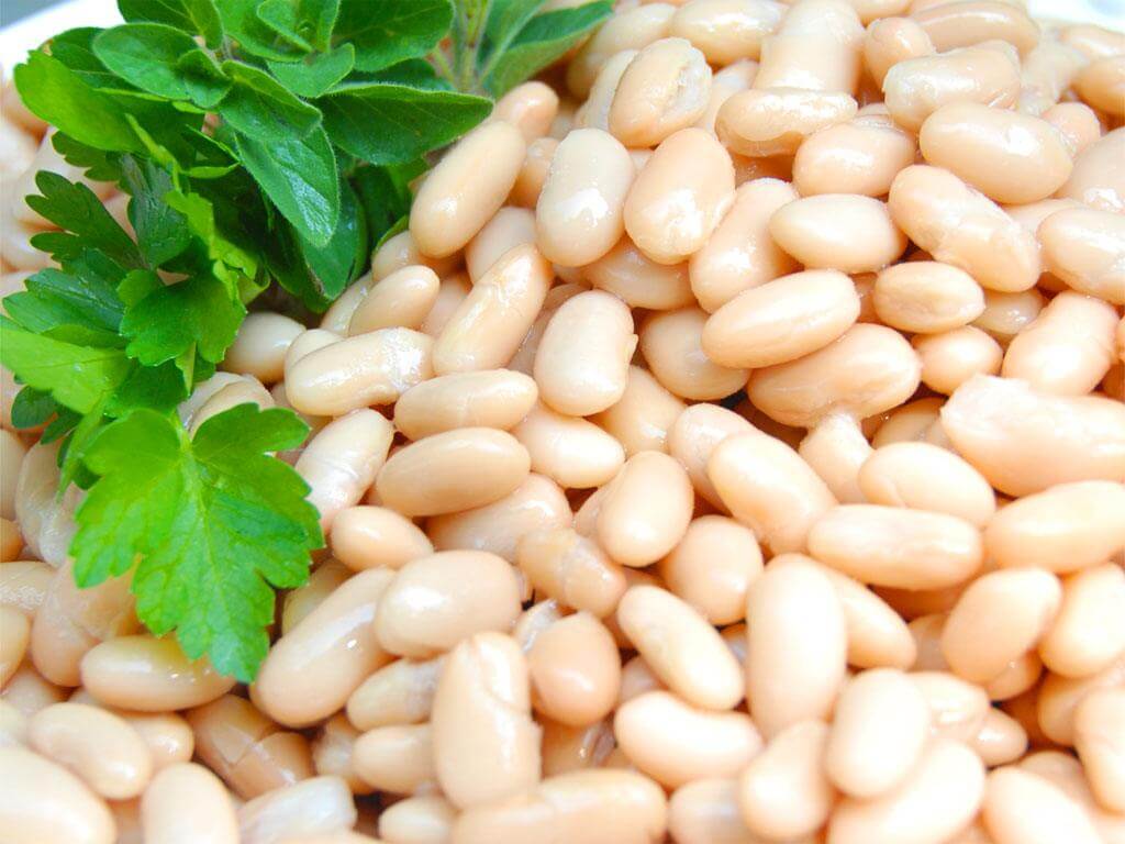 Fagioli Cannellini - frutta e verdura di stagione - horecahub.myshopify.com
