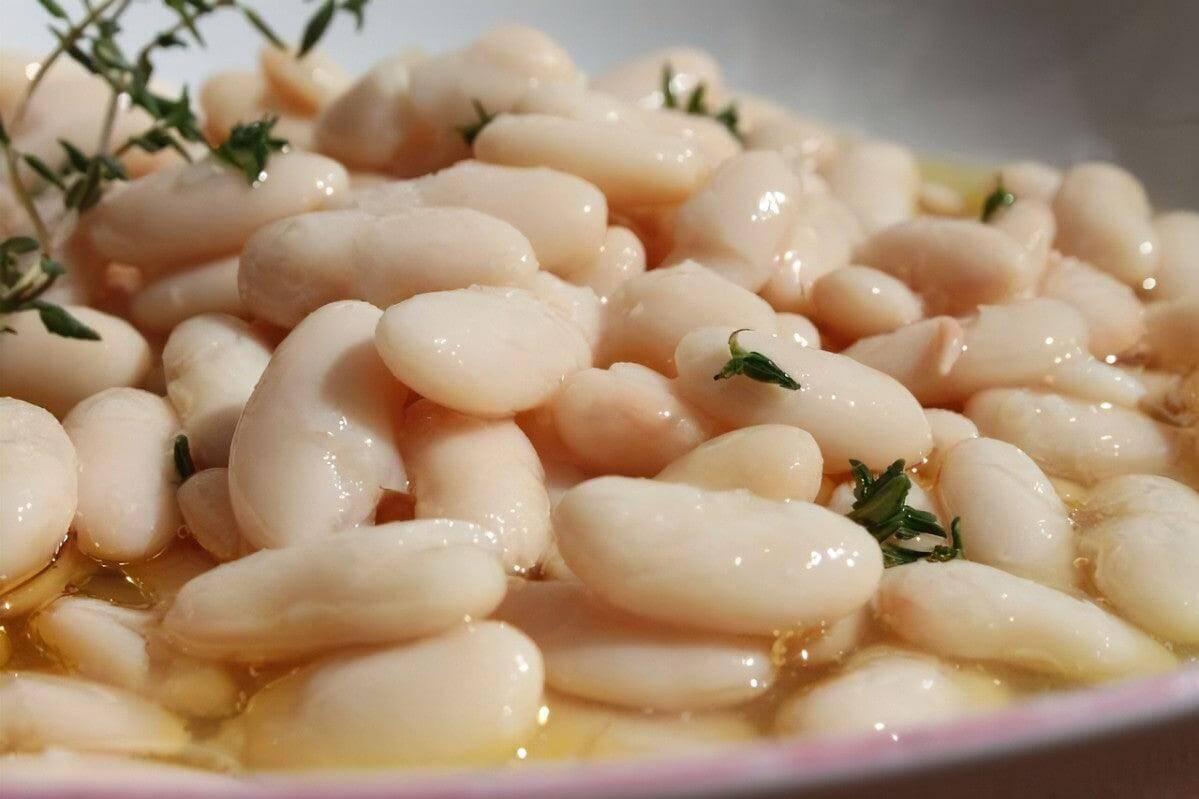 Fagioli Cannellini - frutta e verdura di stagione - horecahub.myshopify.com