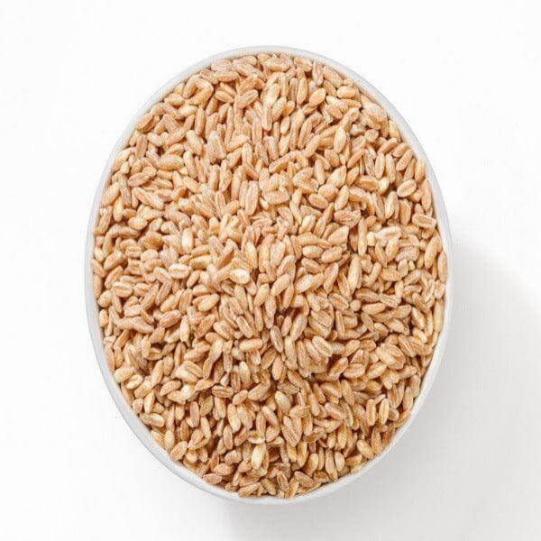 Farro Perlato di Calabria - 500 gr. - Prodotti da forno - horecahub.myshopify.com
