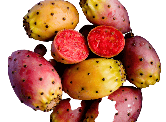 Fichi d'india di Sicilia - Freschi - frutta e verdura di stagione - horecahub.myshopify.com