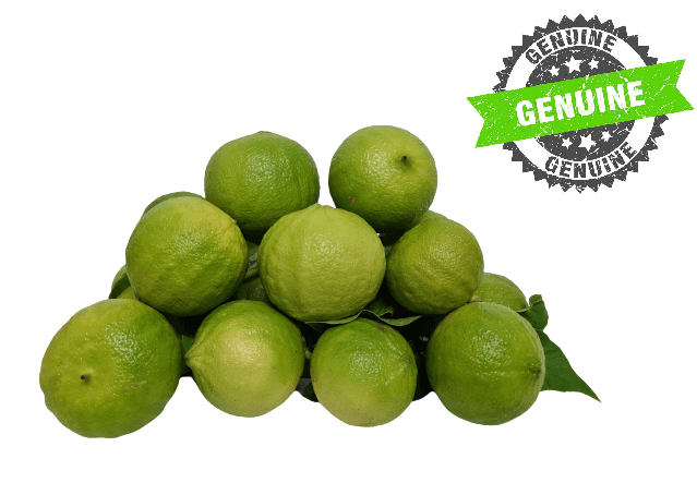 Bergamotto fresco l'originale di Reggio Calabria 1 Kg. - frutta e verdura di stagione - horecahub.myshopify.com