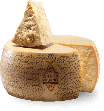 Formaggio - Grana Padano DOP Stagionato 24 Mesi - Formaggeria - horecahub.myshopify.com