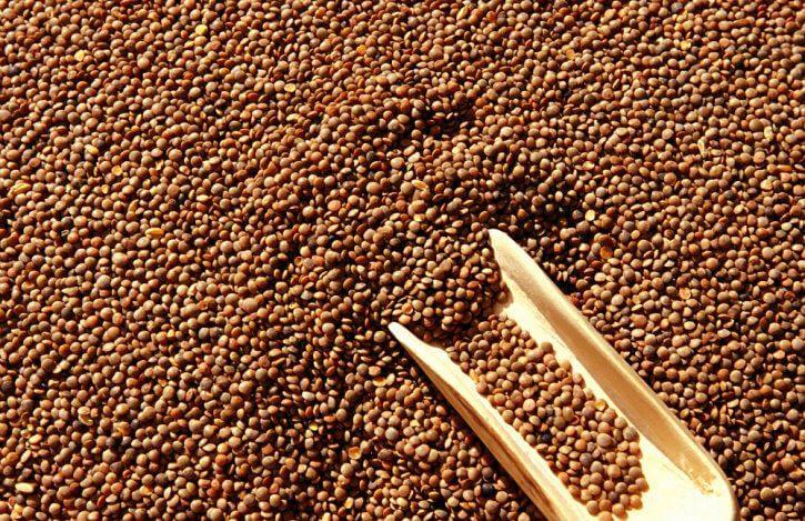 Lenticchie Giganti Italiane - 500 gr. - frutta e verdura di stagione - horecahub.myshopify.com