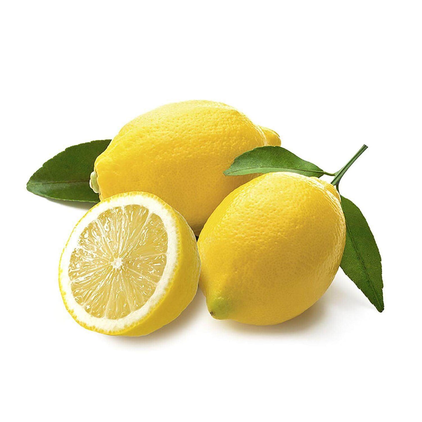 Limoni di Calabria appena raccolti - 5 kg - frutta e verdura di stagione - horecahub.myshopify.com