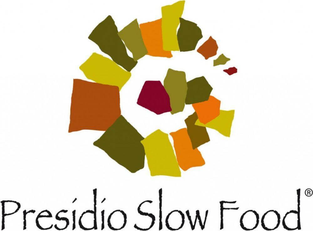 Caciocavallo Slow Food Calabria - Az. Agricola Tre Pizzi Ciminà - Formaggeria - horecahub.myshopify.com