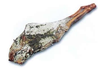 Violino di Capra dìAspromonte, prosciutto di Capra tradizionale con tecniche antiche.