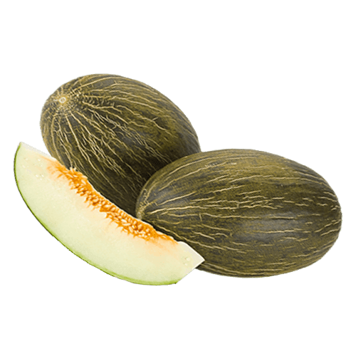 Melone Bianco di Campo 1.5 kg - frutta e verdura di stagione - horecahub.myshopify.com