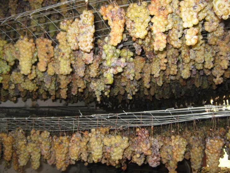 Vino Passito - Moscato Passito di Saracena - Presidio Slow Food, bottiglia da 0,375 l - Vini e liquori - horecahub.myshopify.com