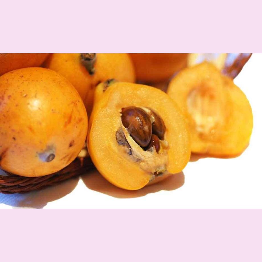 Nespole Fresche cestino da 500 gr. - frutta e verdura di stagione - horecahub.myshopify.com