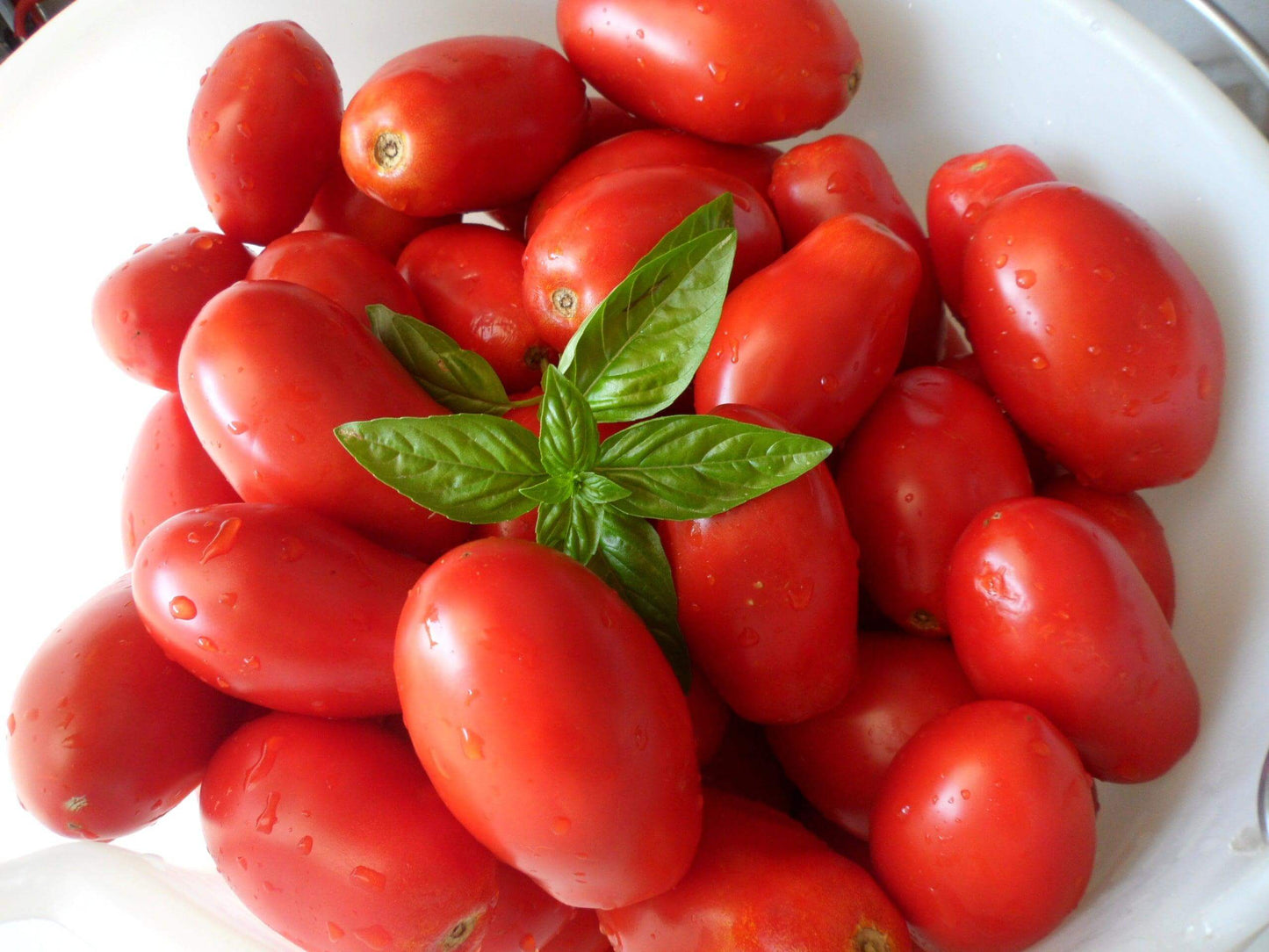Pomodoro Pelato a Mano 580 ml. - Conserve di Terra, di Mare, Delicatessen - horecahub.myshopify.com