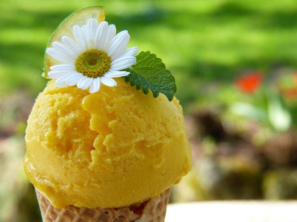 Semilavorato di Bergamotto per pasticceria - vaso vetro da 1,25 kg - Pasticceria - horecahub.myshopify.com