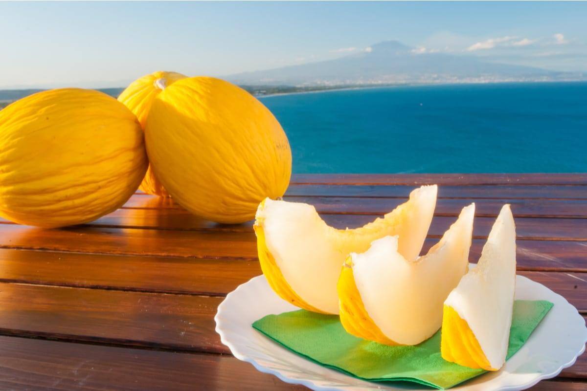 Melone Giallo dell'Orto circa 1.5 kg - frutta e verdura di stagione - horecahub.myshopify.com