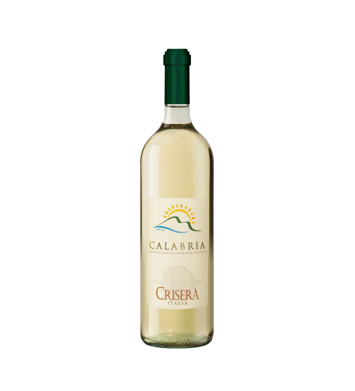 Vino Bianco Calabria IGT bottiglia da 0,75 cl - Vini e liquori - horecahub.myshopify.com