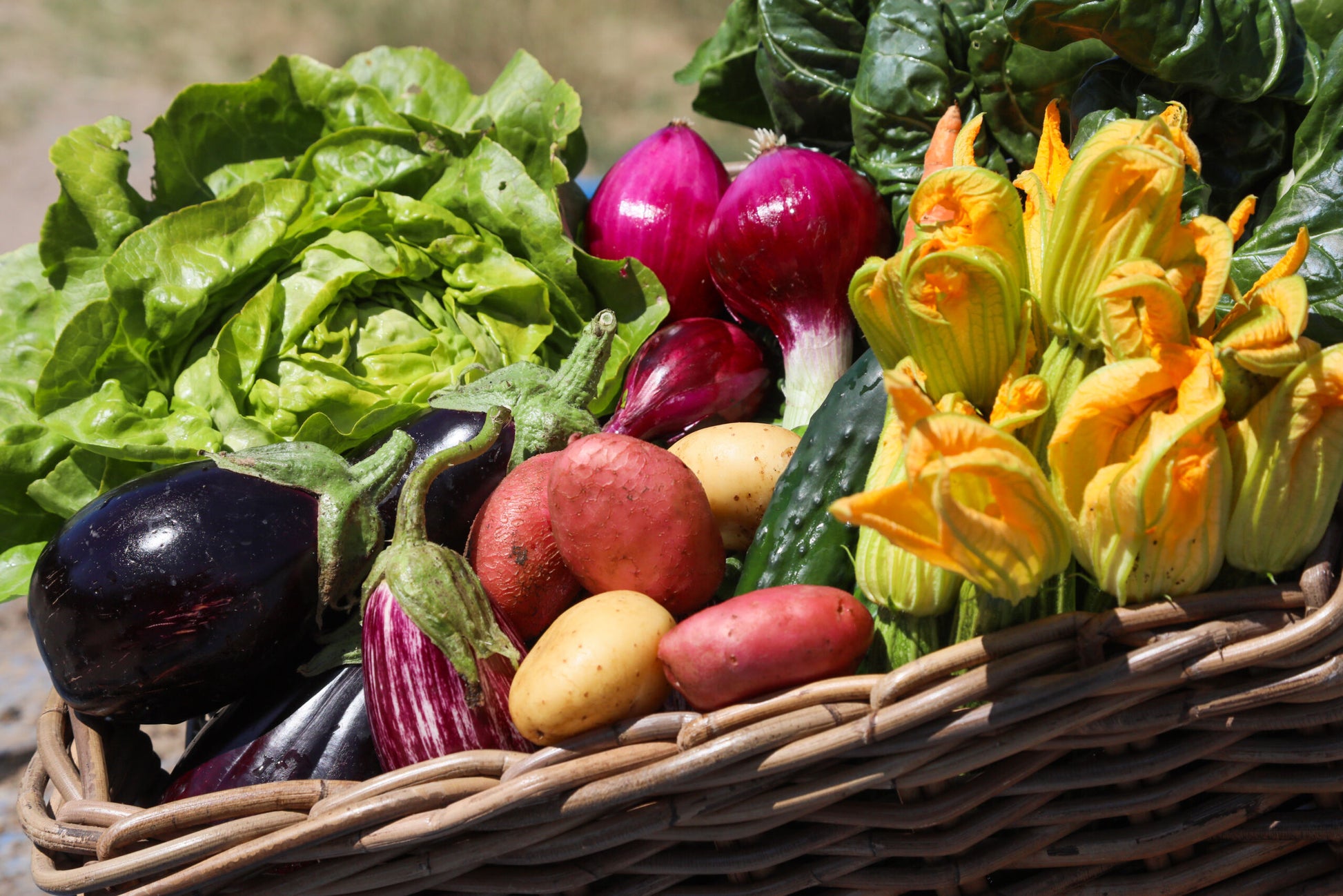 Cassetta Mix di Agrumi e Ortaggi con ortaggi freschi come melanzane, zucchine e insalata in un cesto.