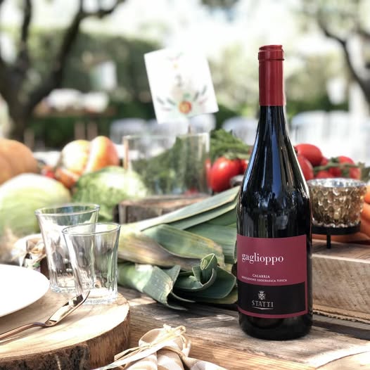 Vino Rosso IGT Calabria - Gaglioppo in an elegant setting with fresh vegetables and a rustic table.
