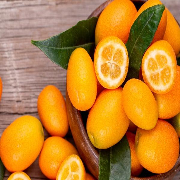Kumquat o Mandarino cinese confezione 250 gr. - Tastiness Food Shop