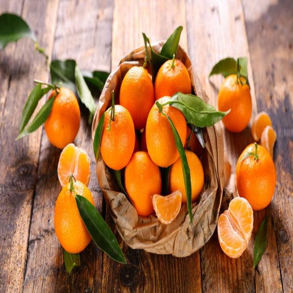 Clementine Fresche 2 kg - Appena Raccolte
