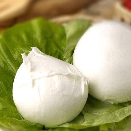 Mozzarella Fior di Latte 1 kg