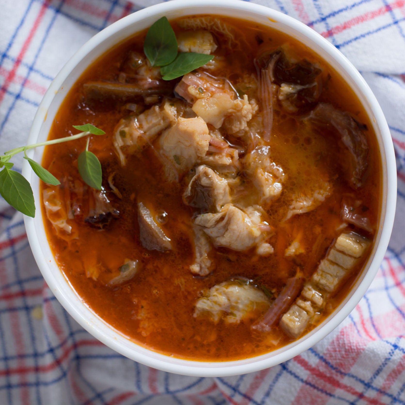 Trippa pronta alla Calabrese in una ciotola, piatto tipico della cucina calabrese, ricco di sapori e tradizione.