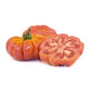 Pomodoro Costoluto del contadino - frutta e verdura di stagione - horecahub.myshopify.com