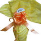 Uovo di Pasqua Salato da 1 kg. - Formaggeria - horecahub.myshopify.com