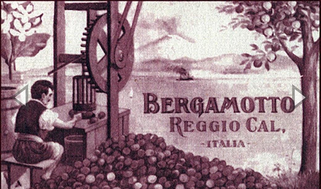 Bergamotto fresco l'originale di Reggio Calabria 1 Kg. - frutta e verdura di stagione - horecahub.myshopify.com