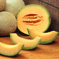 Melone Cantalupo Intero da circa 1,5 kg - frutta e verdura di stagione - horecahub.myshopify.com