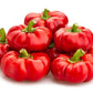 Peperoni Tondi - frutta e verdura di stagione - horecahub.myshopify.com